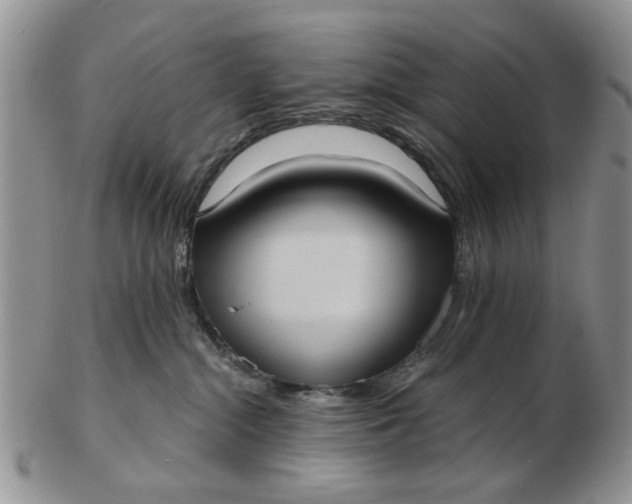 X0000102800284200809021143