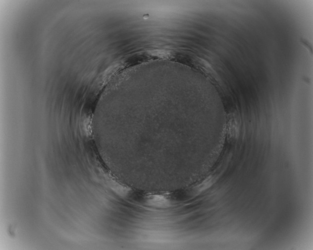 X0000102800285200809021143