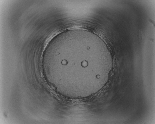 X0000102800289200809021142