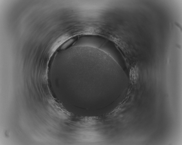 X0000102800292200809021142