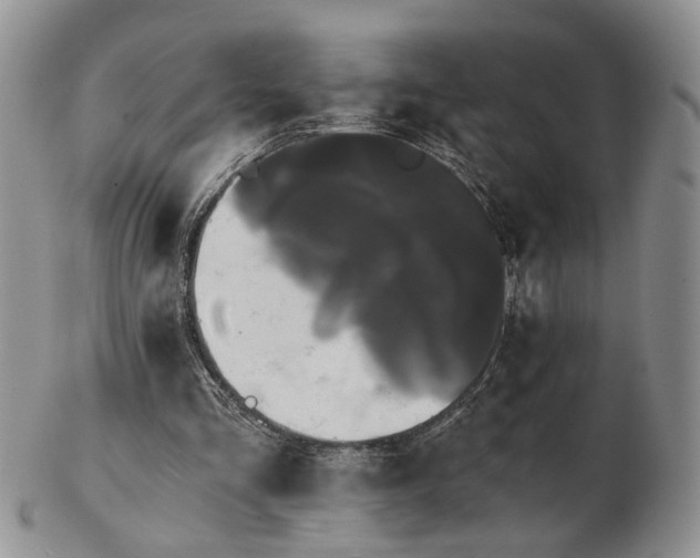 X0000102800293200809021142