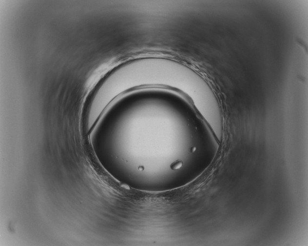 X0000102800296200809021142