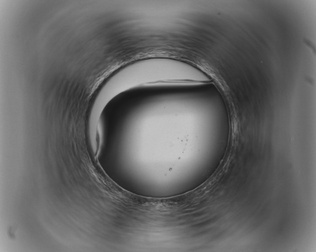 X0000102800297200809021142