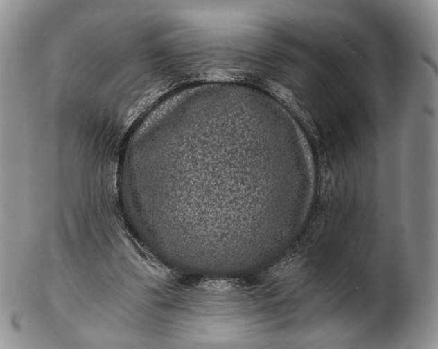 X0000102800299200809021142