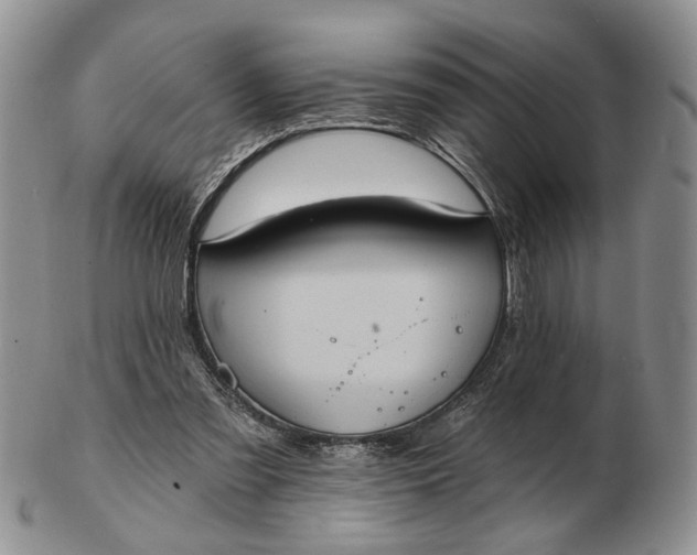 X0000102800301200809021142