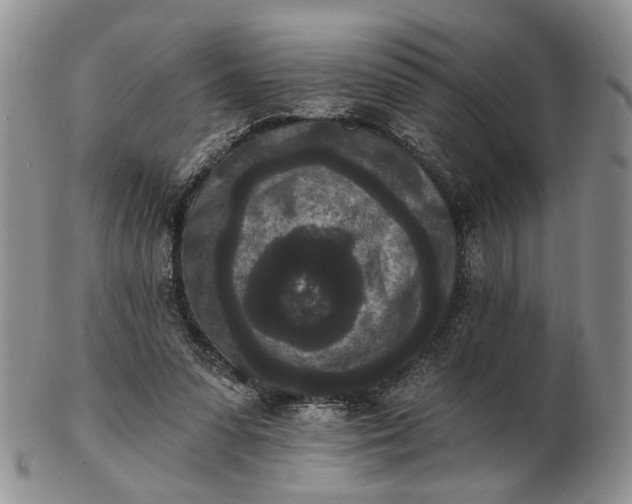 X0000102800303200809021142