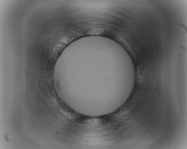 X0000102800307200809021142