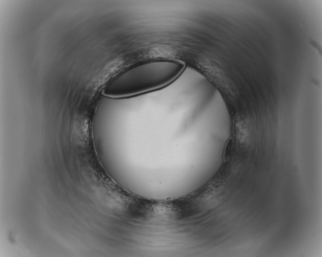 X0000102800308200809021142