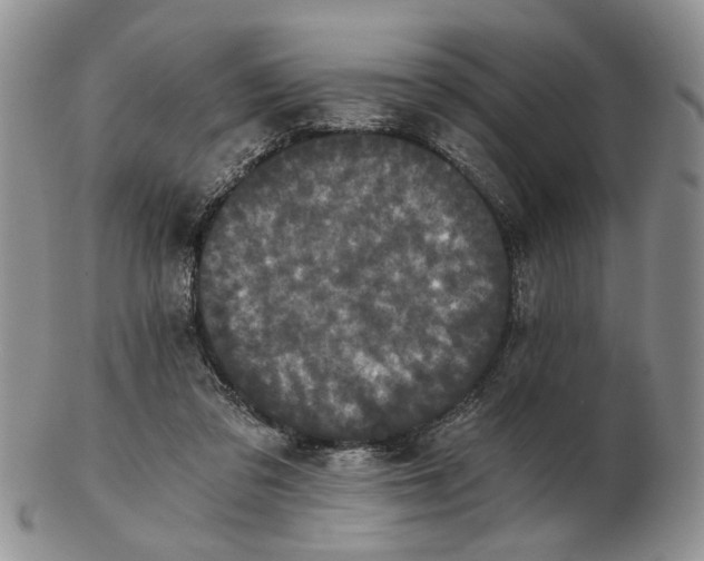 X0000102800309200809021142