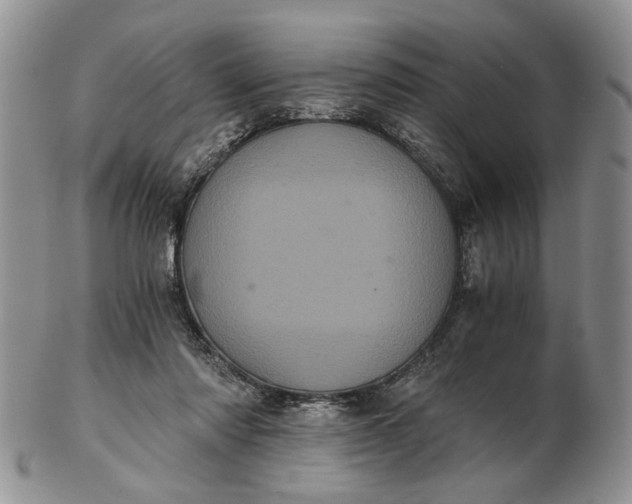 X0000102800310200809021142