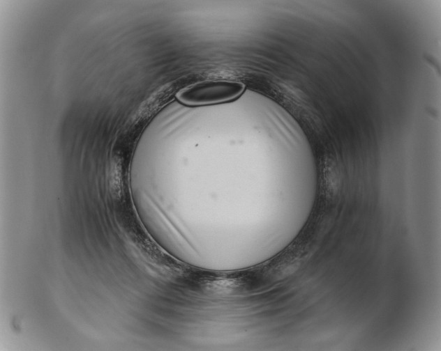 X0000102800312200809021142