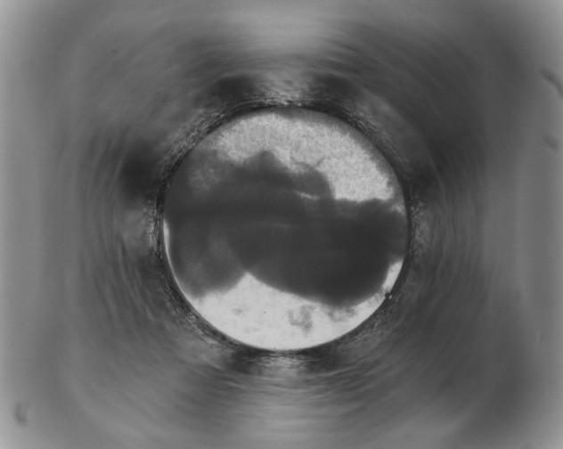 X0000102800313200809021142