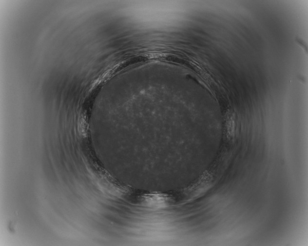 X0000102800316200809021142