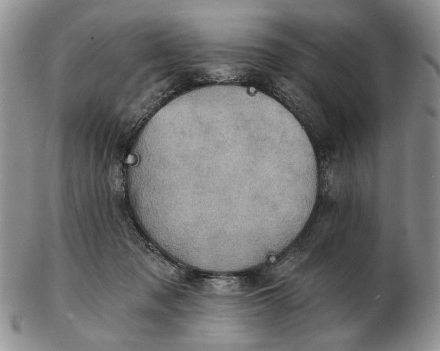 X0000102800317200809021142