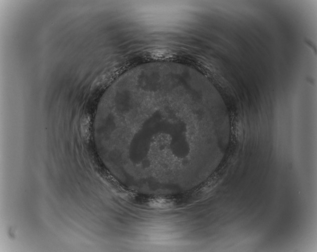 X0000102800319200809021142