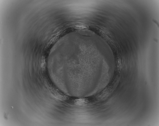 X0000102800320200809021142