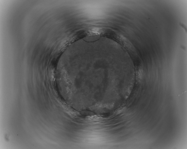 X0000102800331200809021142