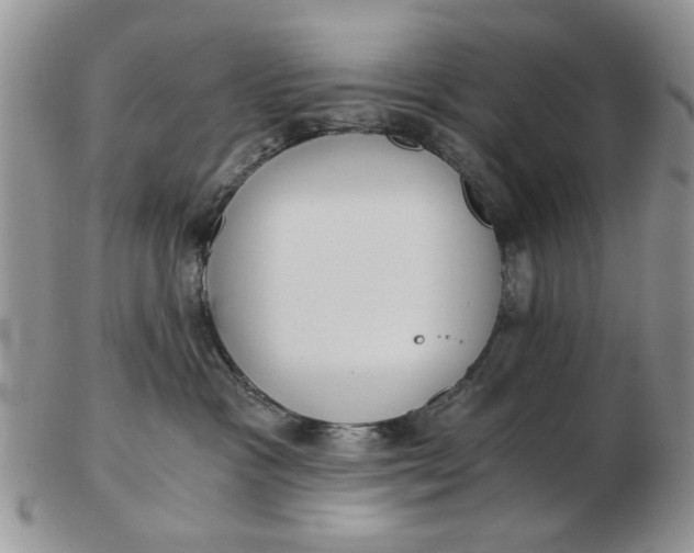 X0000102800333200809021142