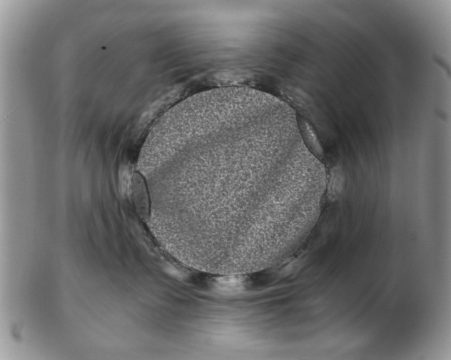 X0000102800335200809021142