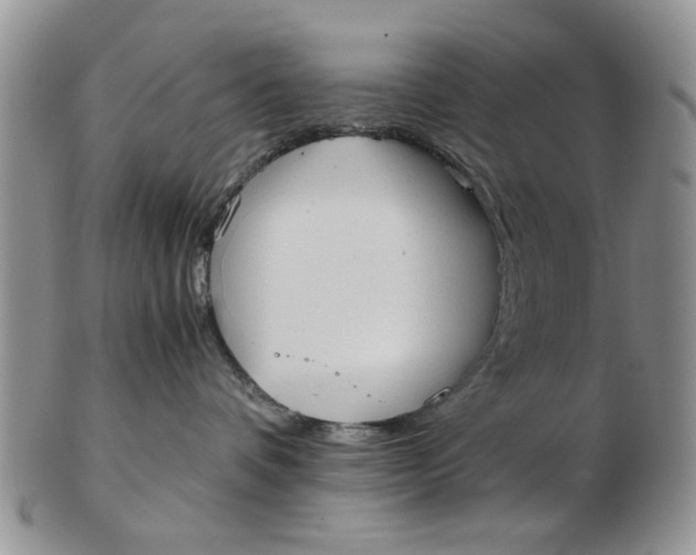 X0000102800336200809021142