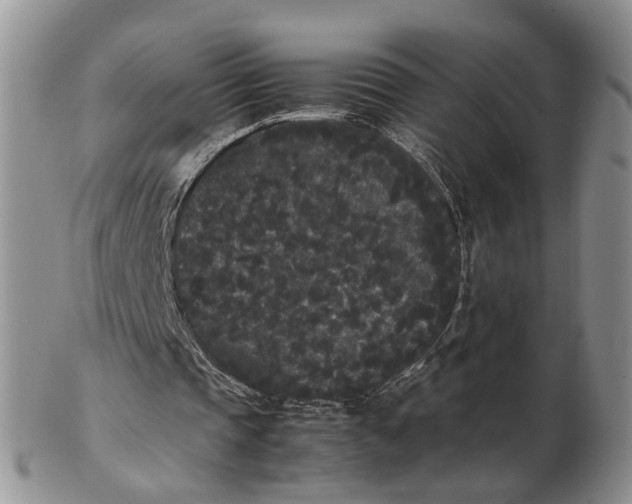 X0000102800337200809021141