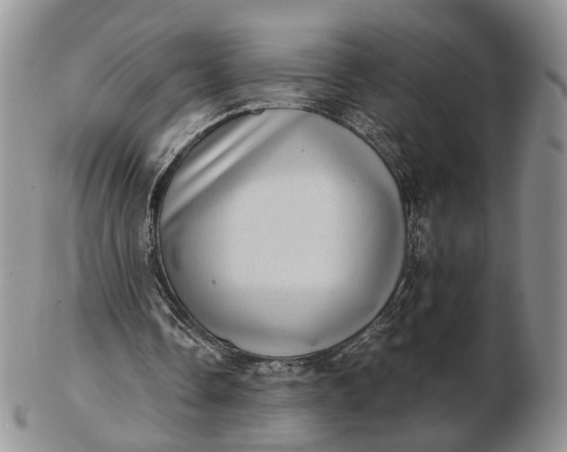 X0000102800338200809021141