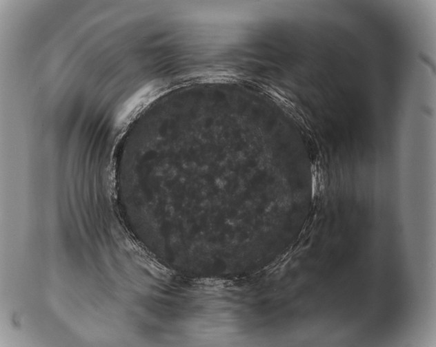 X0000102800339200809021141