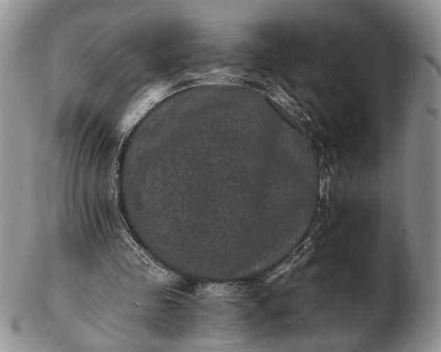 X0000102800341200809021141