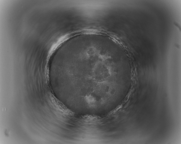 X0000102800343200809021141