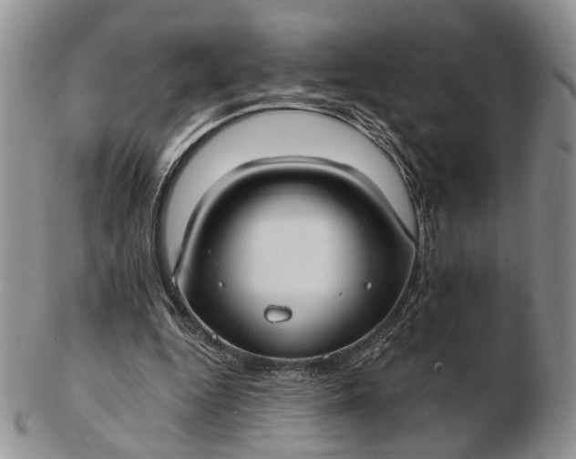 X0000102800344200809021141