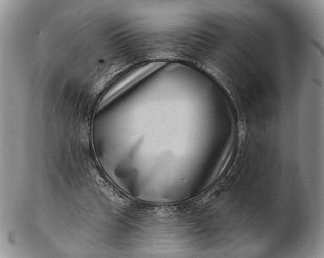 X0000102800345200809021141