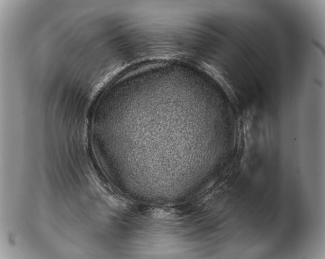 X0000102800346200809021141