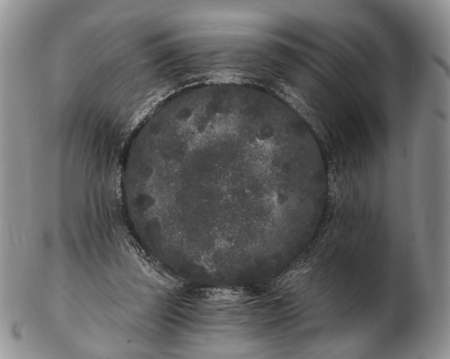 X0000102800347200809021141