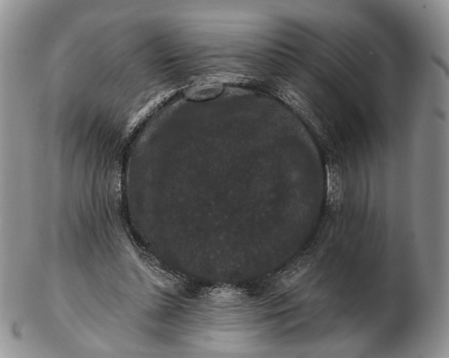 X0000102800348200809021141