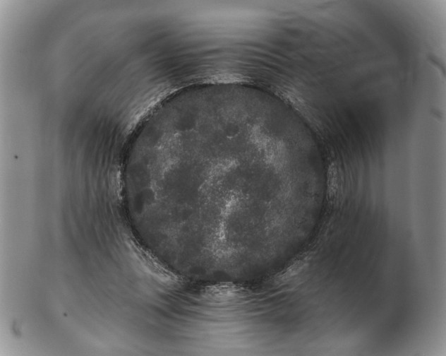 X0000102800351200809021141