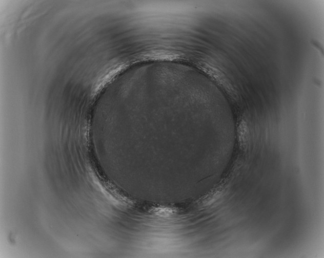 X0000102800352200809021141