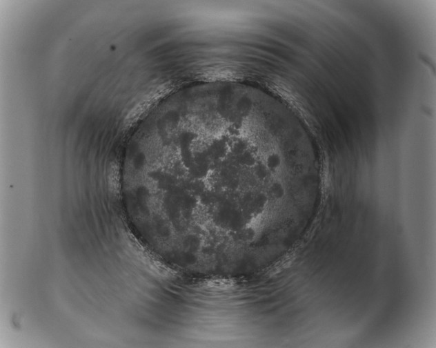 X0000102800353200809021141