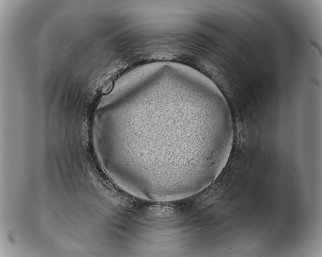 X0000102800354200809021141