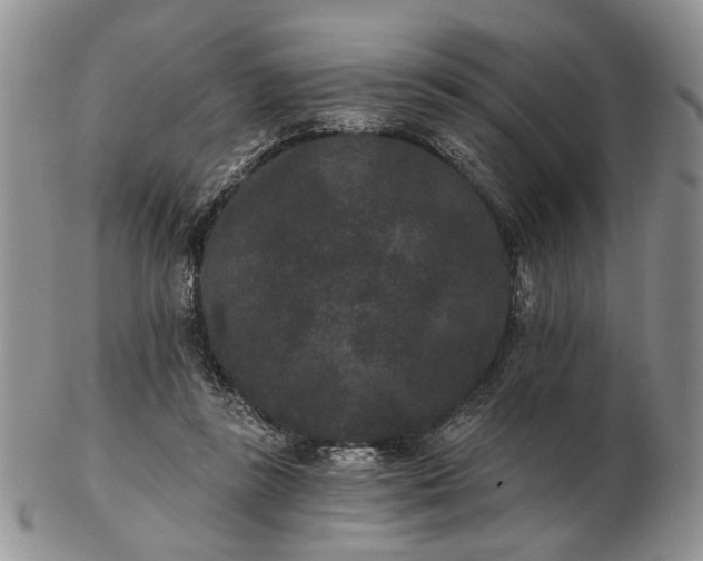 X0000102800355200809021141