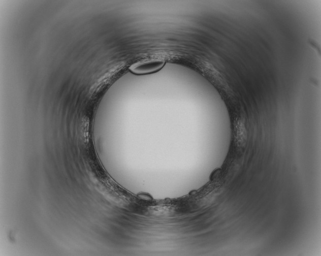 X0000102800356200809021141