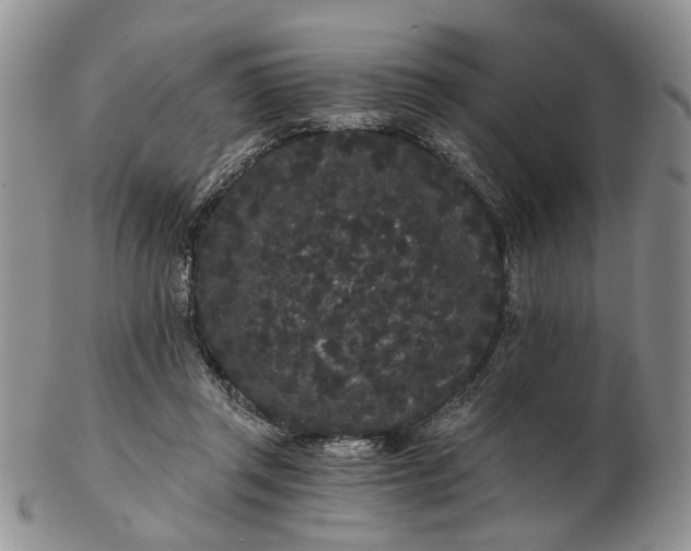 X0000102800357200809021141