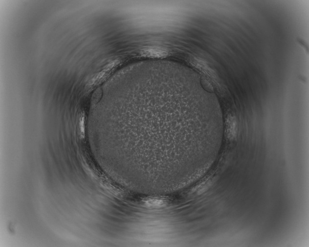 X0000102800358200809021141