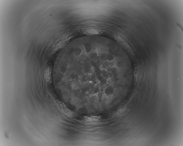 X0000102800359200809021141