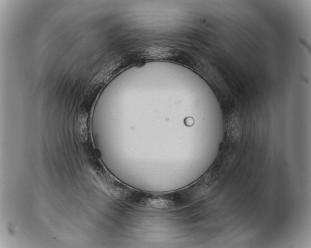 X0000102800360200809021141