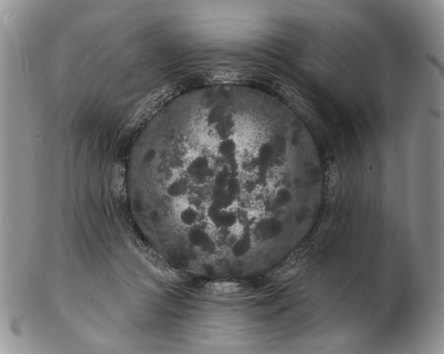 X0000102800361200809021141