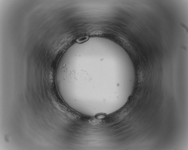 X0000102800362200809021142