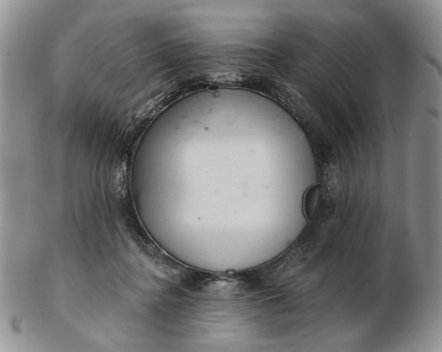 X0000102800364200809021142