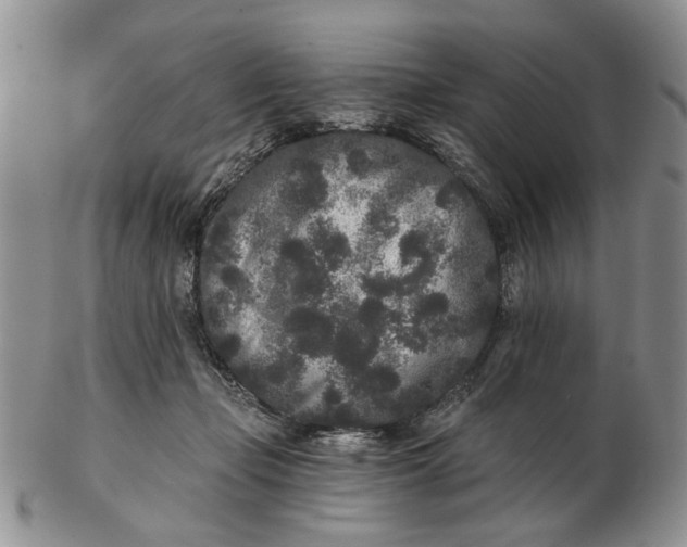 X0000102800365200809021142