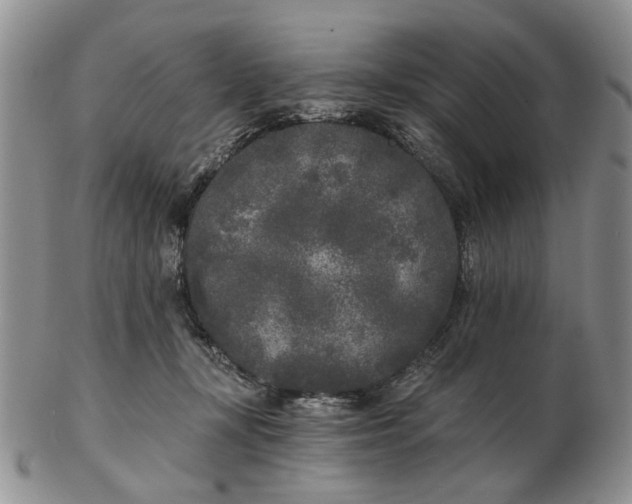 X0000102800367200809021142