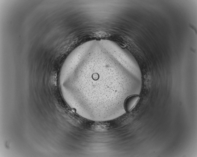 X0000102800368200809021142